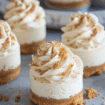 Summer Mini Biscoff Cheesecakes
