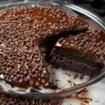 The Best Chocolate Cake in the World