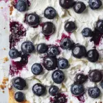Sheet Pan Blueberry Shortcake