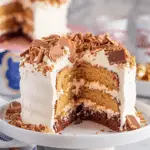 Butterfinger Cake Recipe