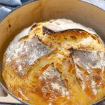 No Knead Dutch Oven Bread