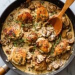 Easy Chicken Stroganoff Recipe