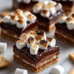 S'mores Cheesecake Bars Recipe