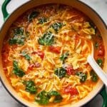 Vegetarian Lasagna Soup Recipe