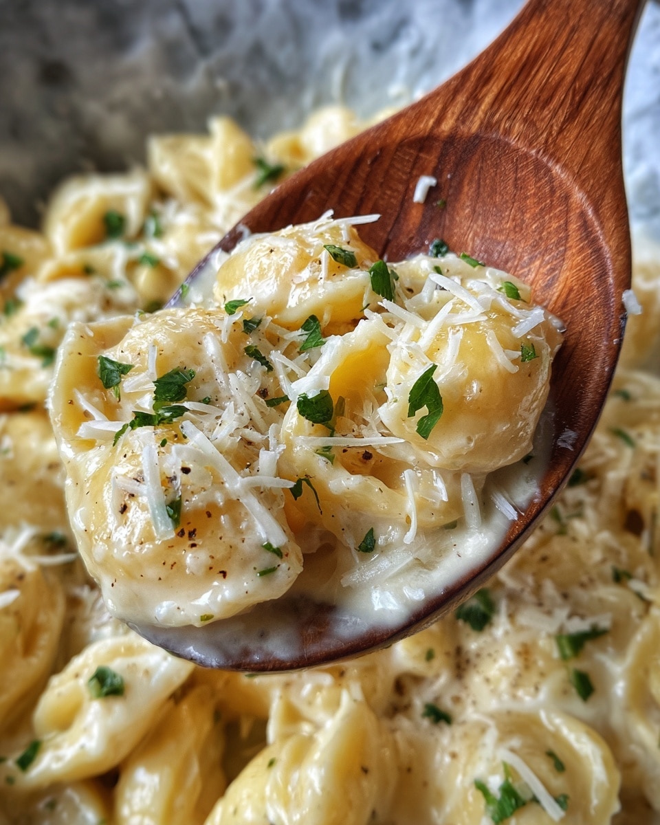 A close view of a wooden spoon holding a creamy pasta dish with small pasta pieces in a light yellow creamy sauce. There are small pieces of white shredded cheese and green parsley sprinkled throughout and on the spoon. The background shows more of the creamy pasta with a white marbled texture underneath. photo taken with an iphone --ar 4:5 --v 7