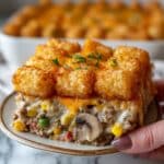 Tatertot Casserole Recipe