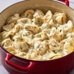 Creamy Roasted Garlic Tortellini Recipe