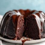 Deep Dark Secret Chocolate Cake Recipe