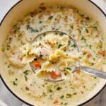 Creamy Chicken Alfredo Soup Recipe