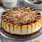 Samoa Cheesecake Recipe